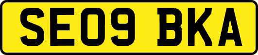 SE09BKA