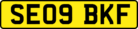 SE09BKF