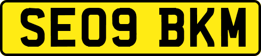 SE09BKM