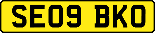 SE09BKO