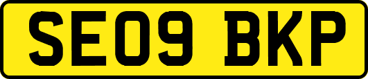 SE09BKP