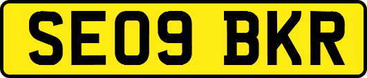 SE09BKR