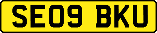 SE09BKU