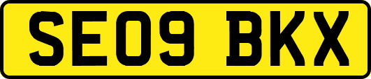 SE09BKX