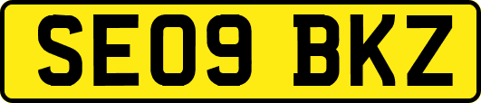 SE09BKZ