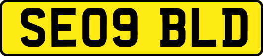 SE09BLD