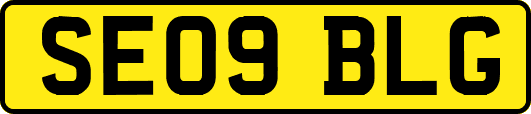 SE09BLG