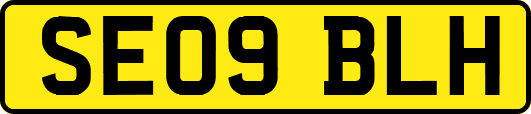 SE09BLH
