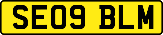 SE09BLM