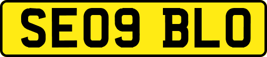 SE09BLO