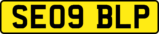 SE09BLP