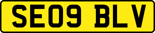 SE09BLV