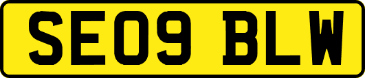 SE09BLW