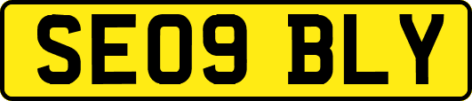 SE09BLY