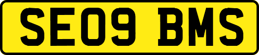 SE09BMS