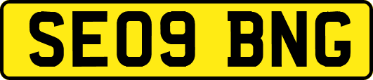 SE09BNG