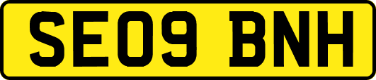 SE09BNH