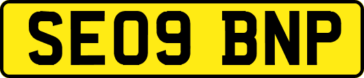 SE09BNP
