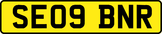 SE09BNR
