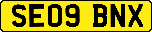 SE09BNX