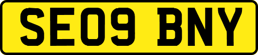 SE09BNY