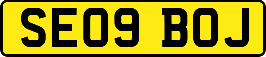 SE09BOJ