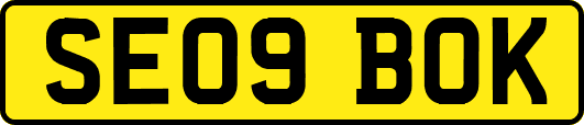SE09BOK