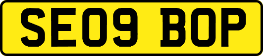 SE09BOP