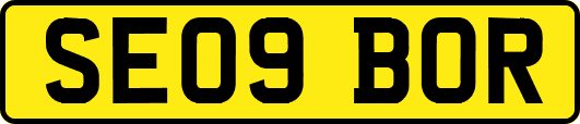 SE09BOR