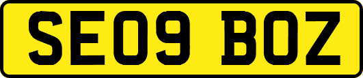 SE09BOZ