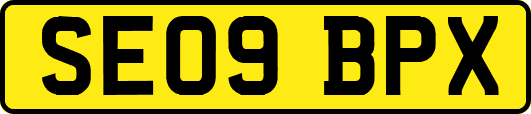 SE09BPX