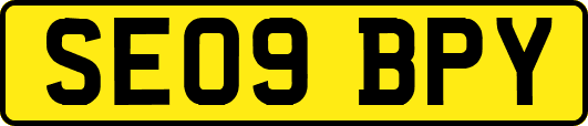 SE09BPY