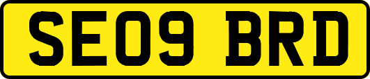 SE09BRD