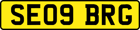 SE09BRG