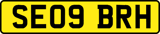 SE09BRH