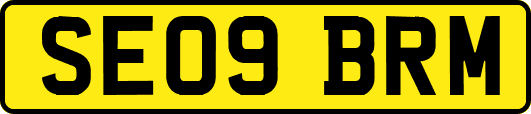 SE09BRM