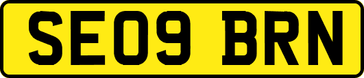 SE09BRN