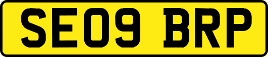 SE09BRP