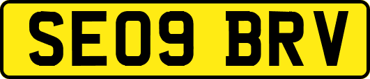 SE09BRV
