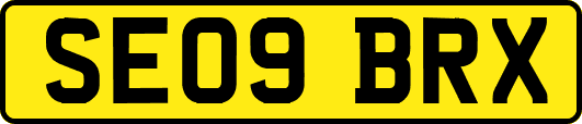 SE09BRX