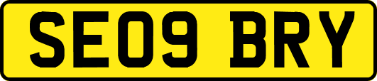 SE09BRY