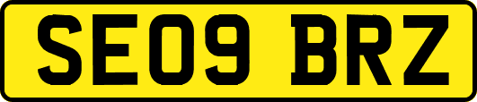 SE09BRZ