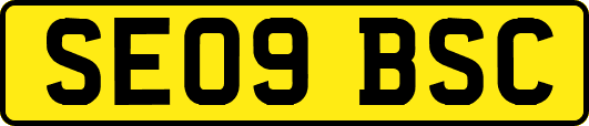 SE09BSC
