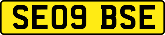 SE09BSE