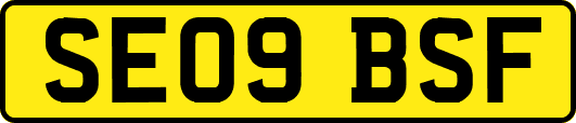 SE09BSF