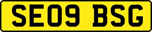 SE09BSG
