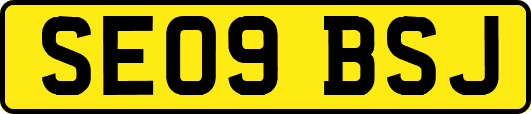 SE09BSJ