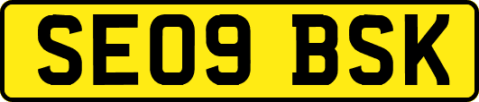 SE09BSK