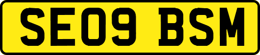 SE09BSM