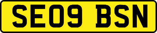 SE09BSN